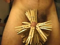 Clothespins on the cock
